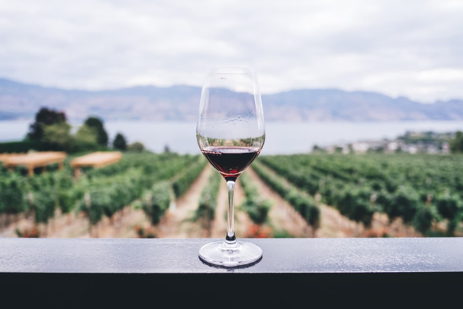 Les 5 meilleures routes des vins en France pour les œnophiles