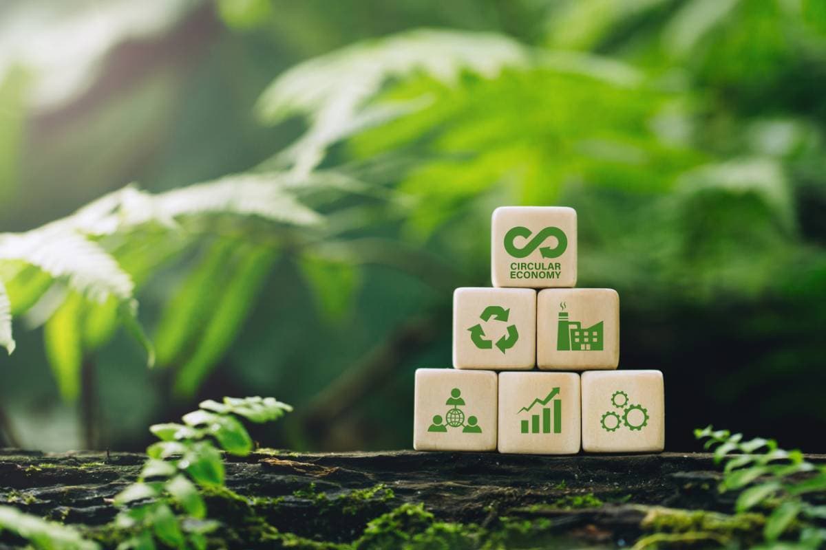 Que peut-on attendre d’études dans l’environnement ?