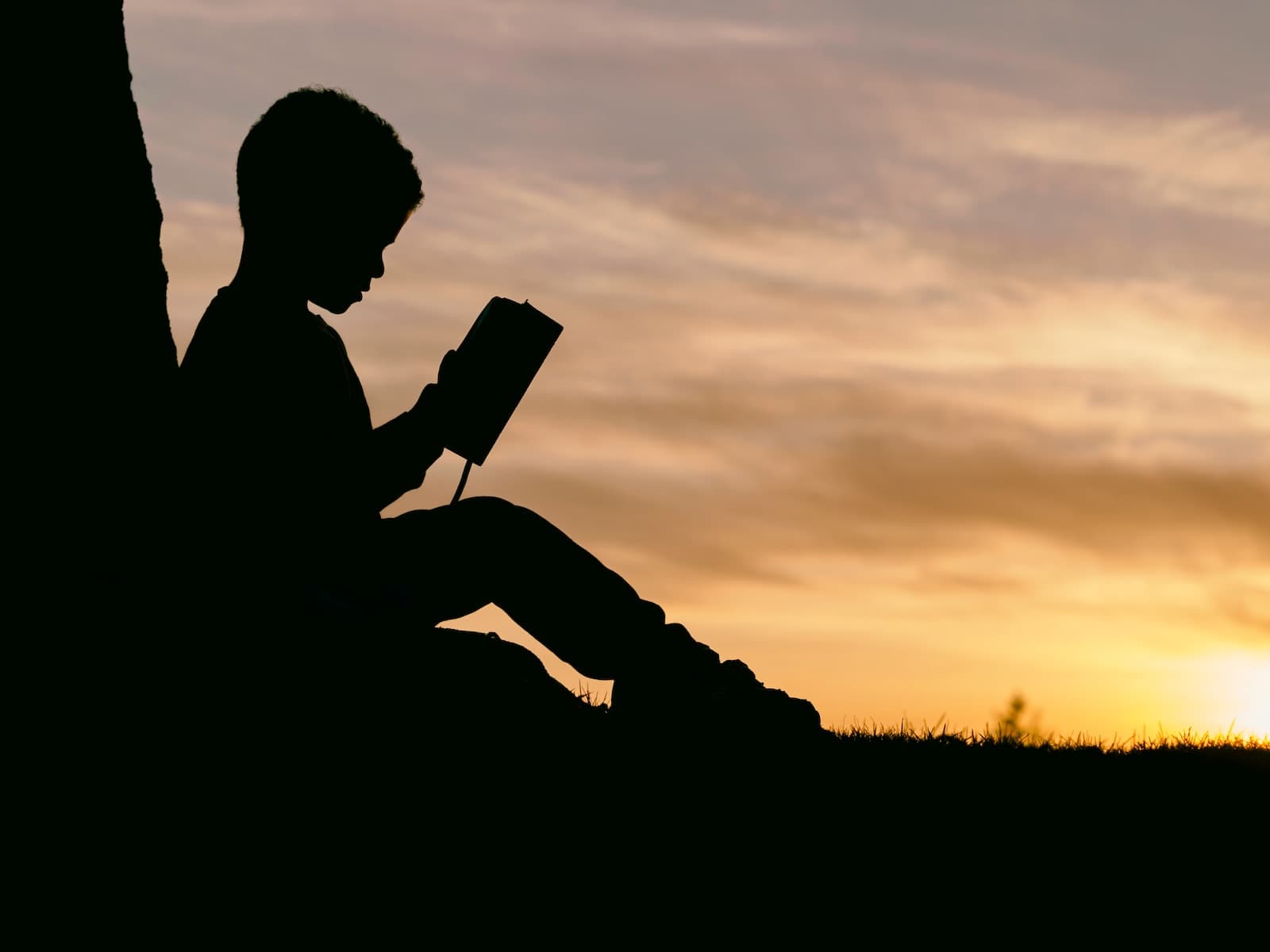 12 idées de livres pour les enfants de 2 à 3 ans