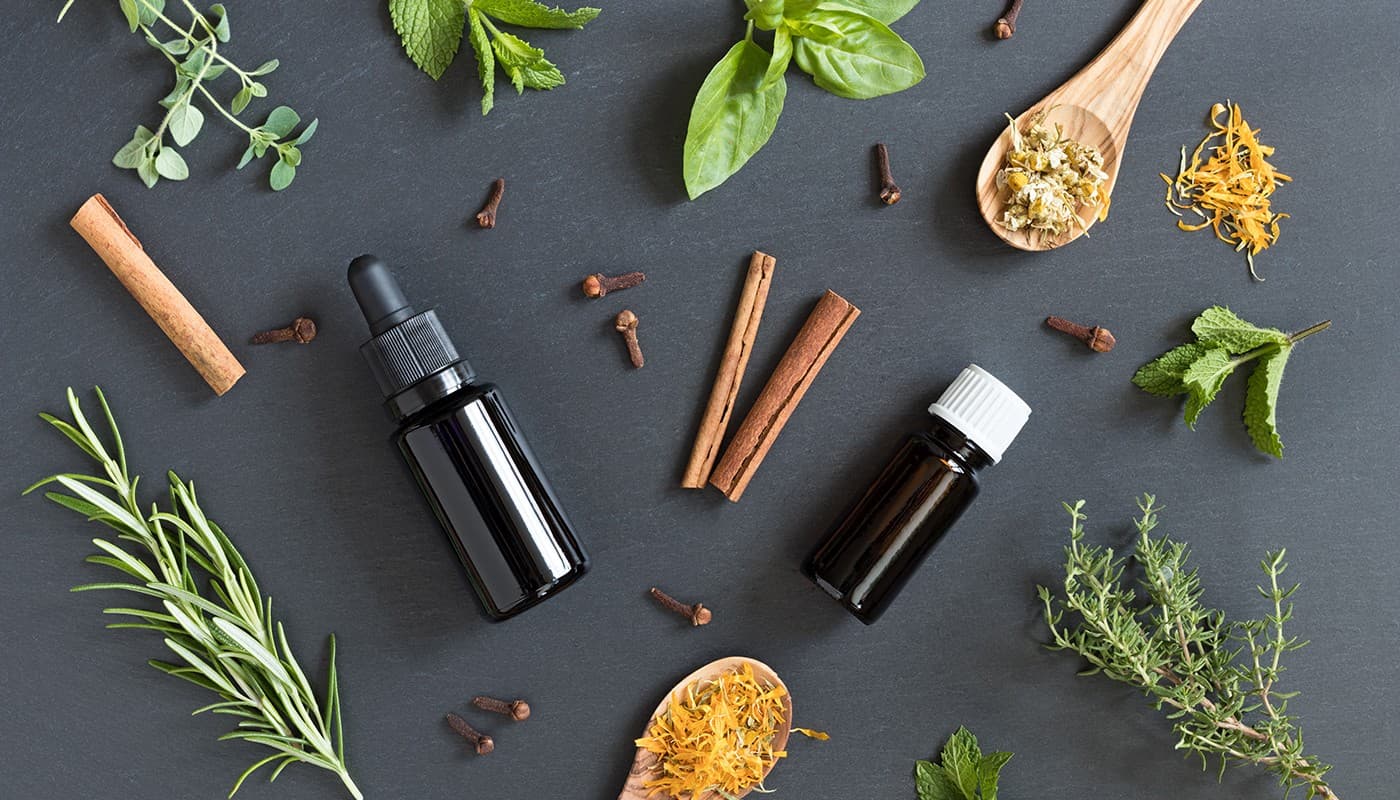 Boostez votre tonus grâce à la phytothérapie