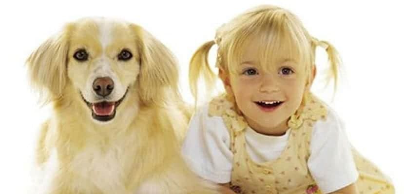 Pourquoi les chiens ressemblent-ils à leurs propriétaires ? Science, choix et lien affectif entre l’homme et l’animal