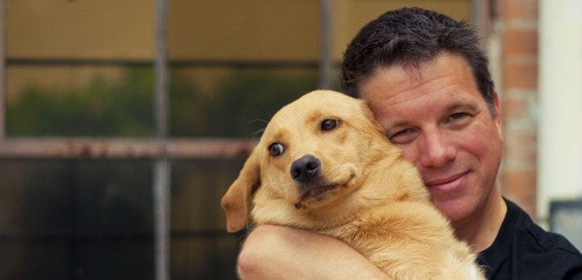 Pourquoi les chiens n’aiment pas les câlins : signes, explications scientifiques et alternatives douces