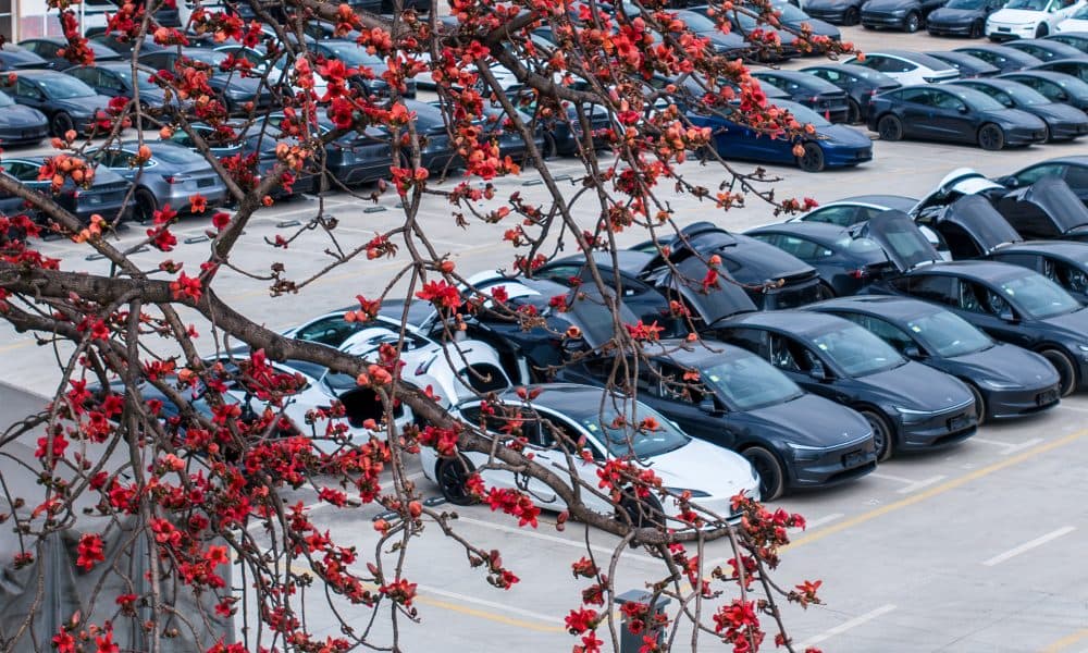 Tesla : centres de livraison en Chine s’intensifient à l’approche du dernier mois de 2025