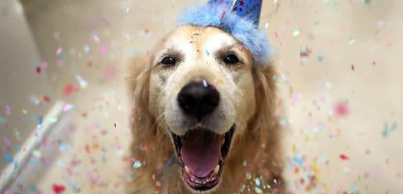 « Origine et idées pour une célébration mémorable : participez au hashtag de la joie »