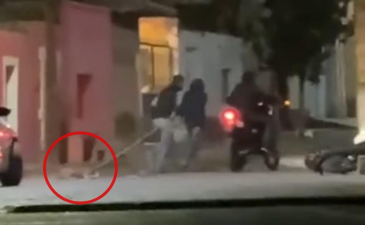 Indignation face à la cruauté envers un chien traîné par une moto à Cuauhtémoc, Zacatecas