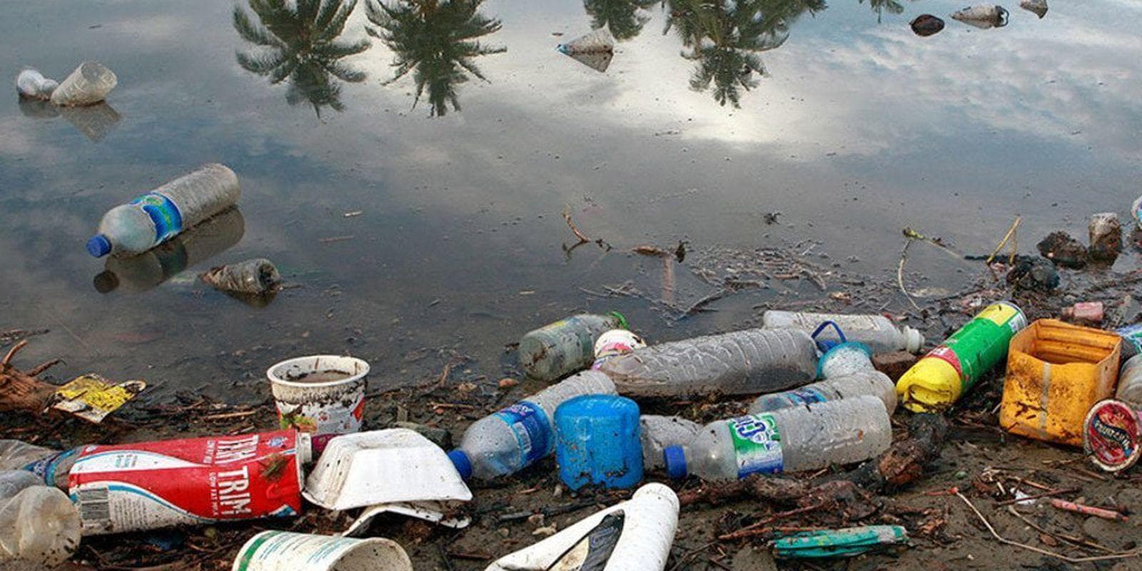 Bioplastiques en décomposition rapide : innovations et défis à surmonter
