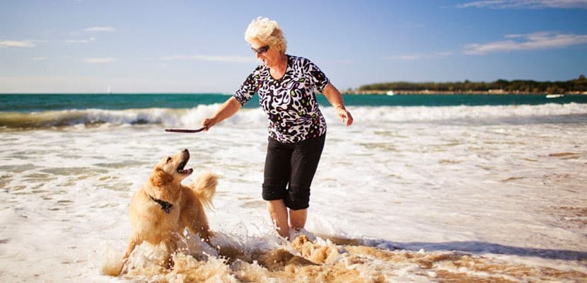 Comment un chien peut booster votre sociabilité et votre bonheur au quotidien