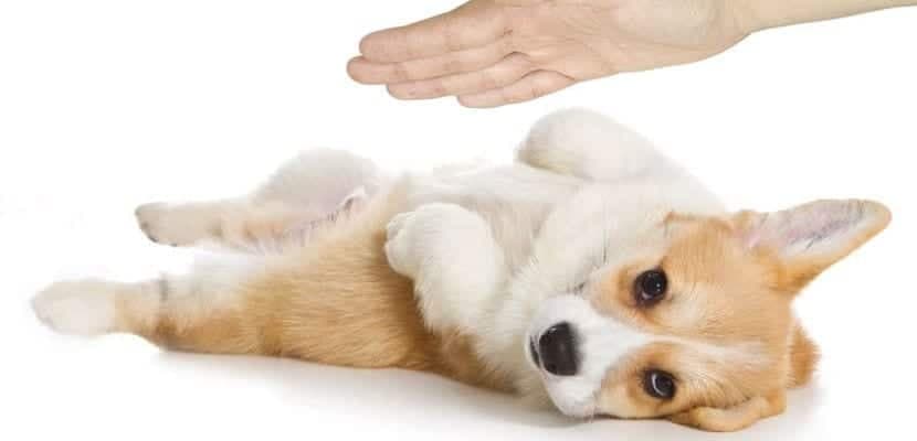 Guía práctica para optimizar tu bienestar físico y emocional de manera efectiva