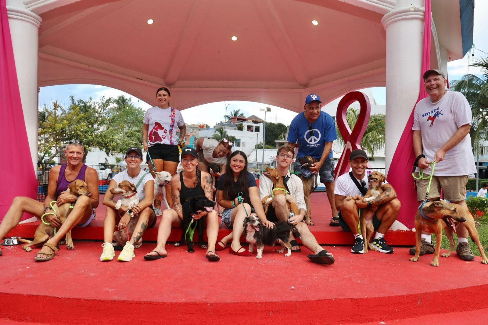 Pelufest : un élan pour l’adoption responsable et le bien-être animal à Isla Mujeres