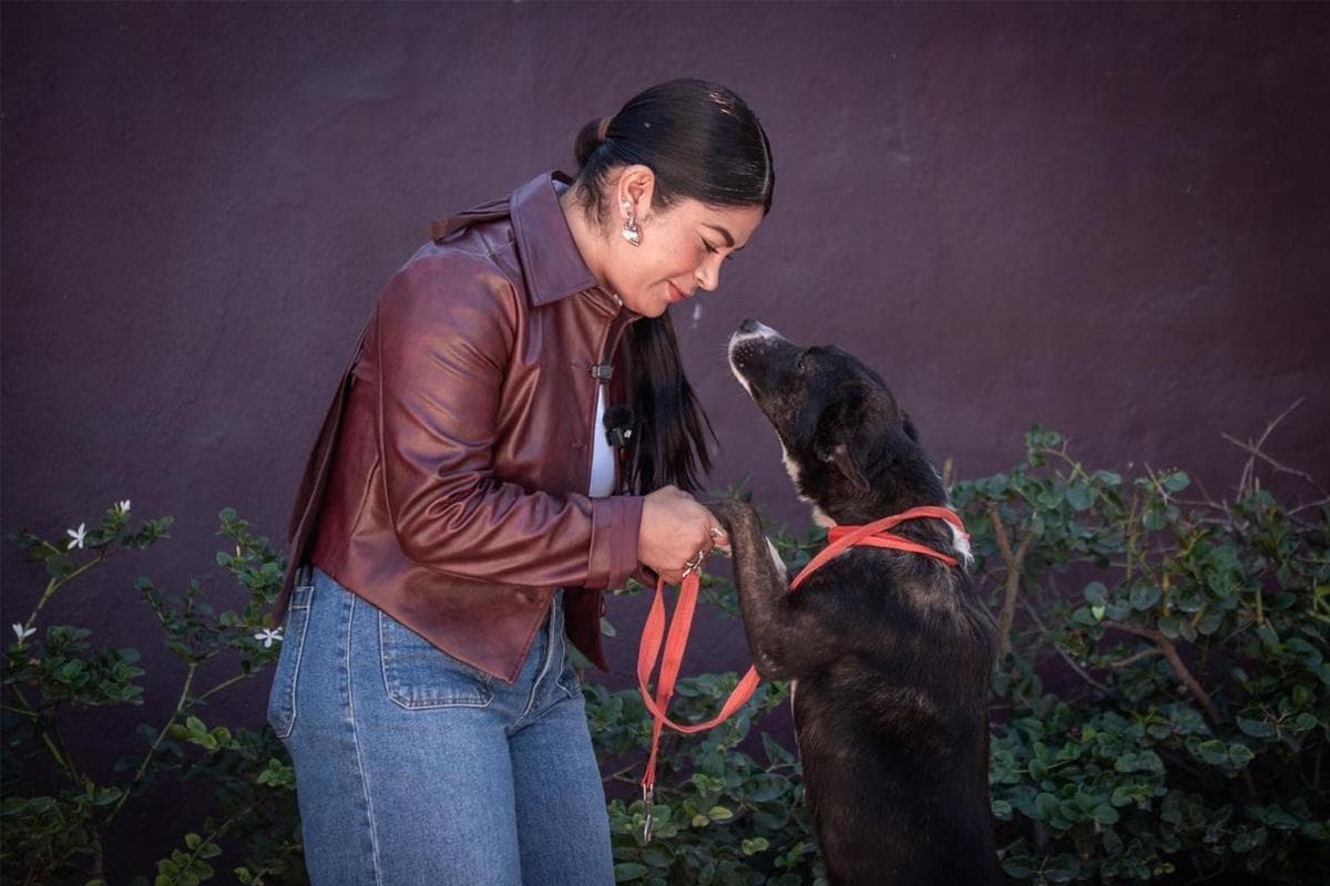 Tijuana dynamise le sauvetage et l’adoption responsable de chiens et chats en quête de familles aimantes