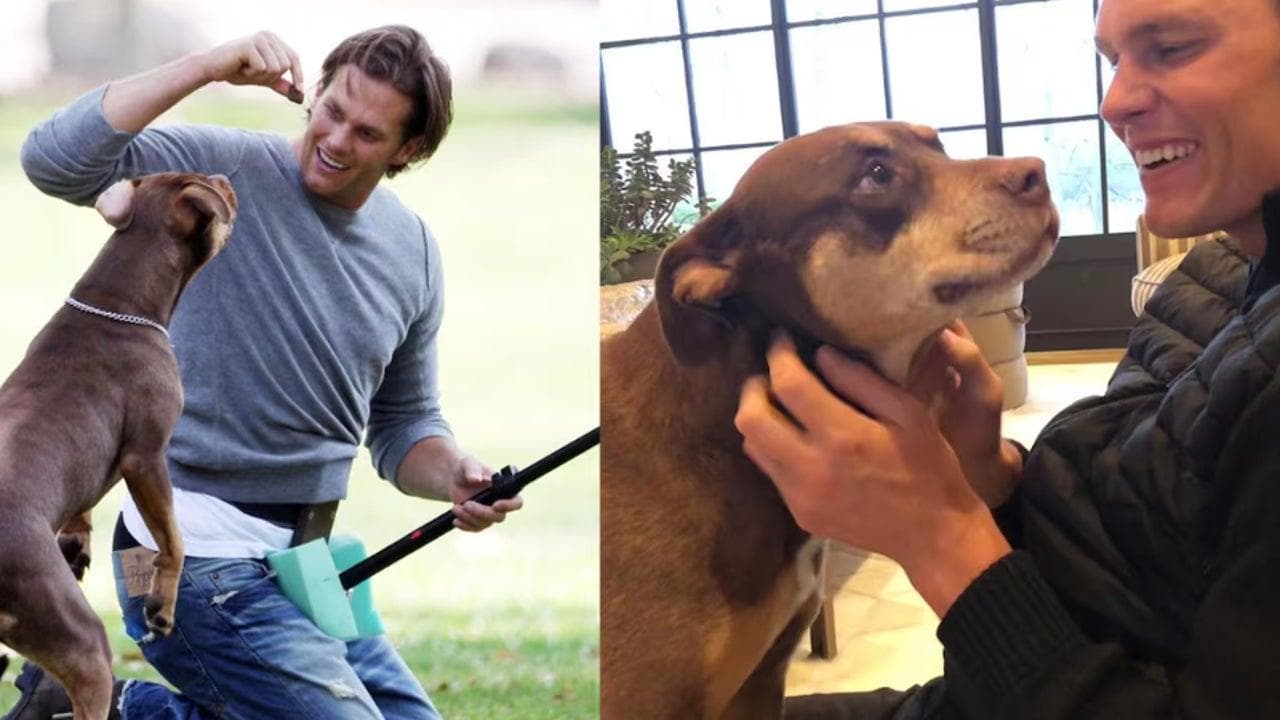 Tom Brady révèle que sa chienne Junie est un clone de Lua : un secret canin étonnant