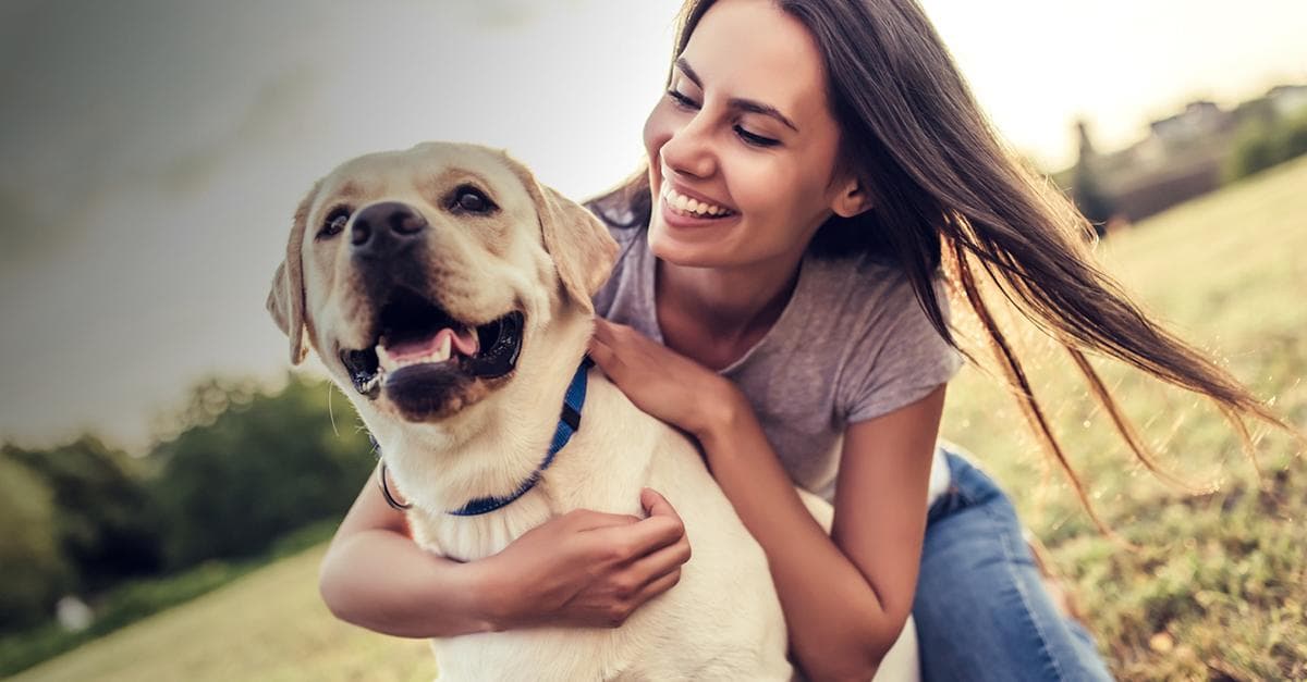 Promenades parfaites : guide complet pour sortir avec votre chien