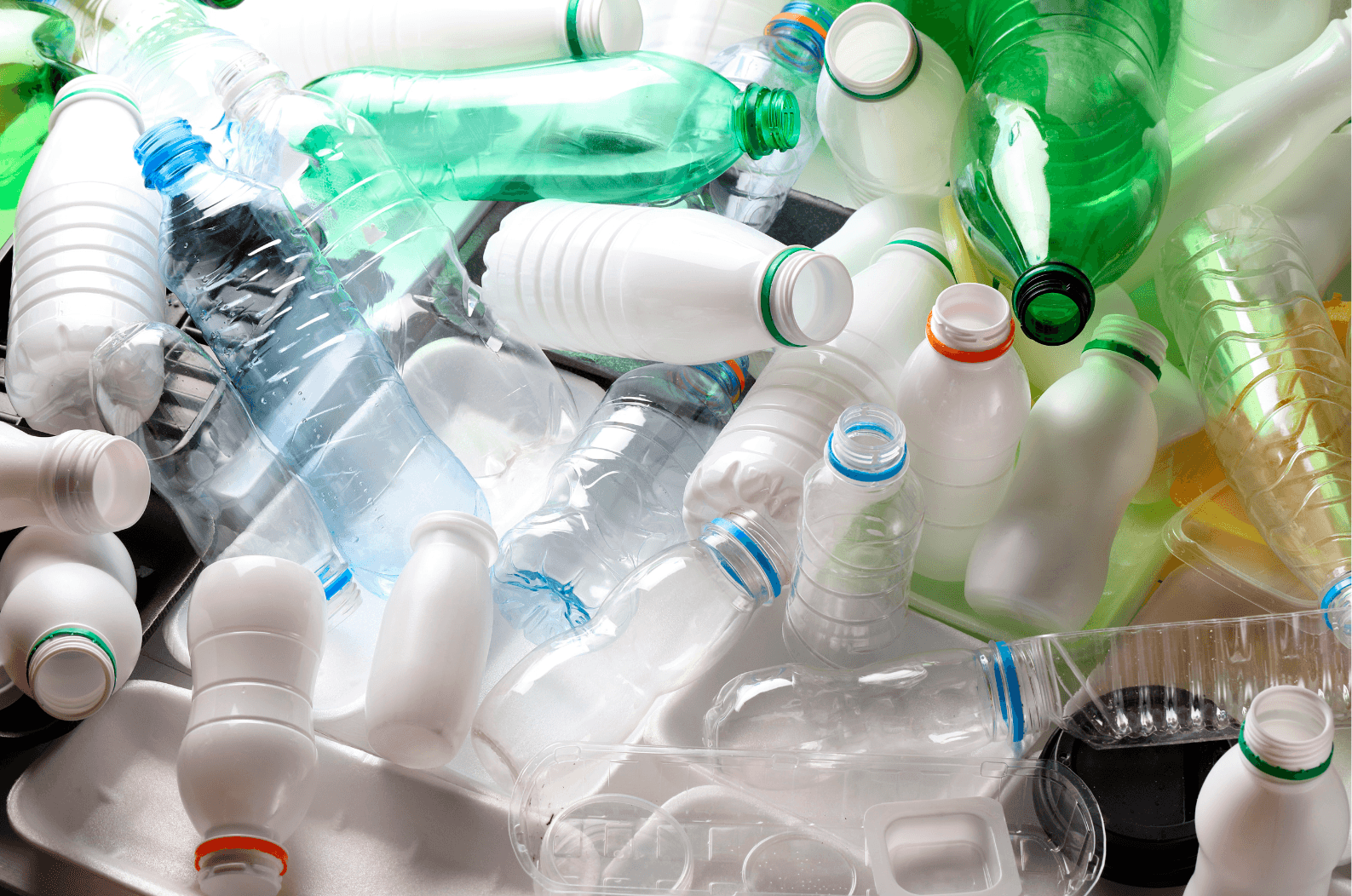 Possible stratégie de protection contre les risques de mortalité liés aux polluants plastiques