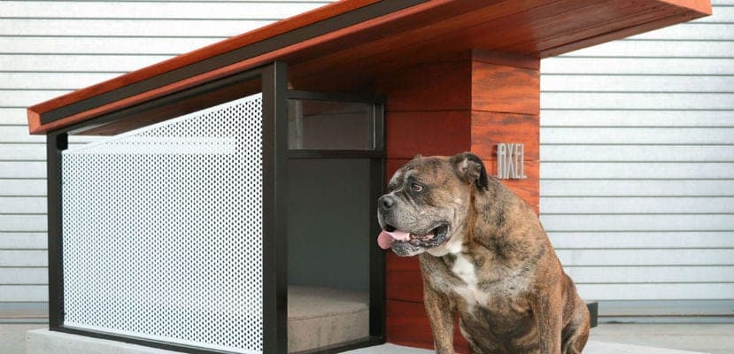 Chalet de luxe pour chiens au design moderne : offrez un espace élégant à votre compagnon fidèle