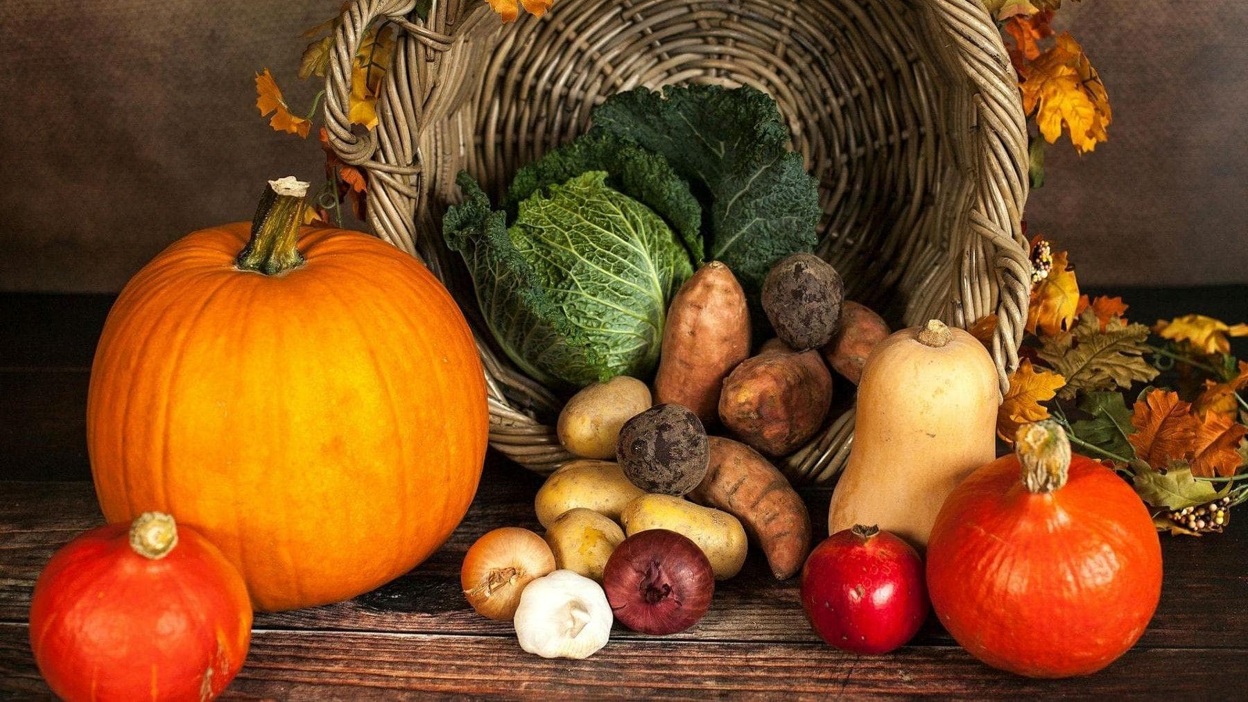 Alimentation écologique : la tendance qui séduit les foyers espagnols