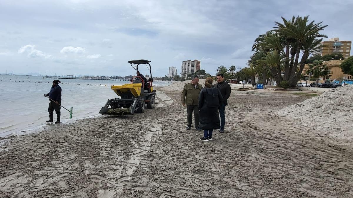 Retirada spectaculaire de biomasa au Mar Menor face à l’excès de nutriments