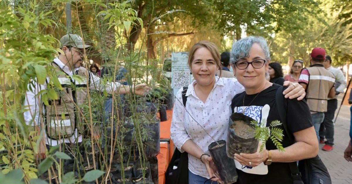 Mil arbres natifs pour favoriser la reforestation urbaine à Hermosillo : un pas vers un avenir vert
