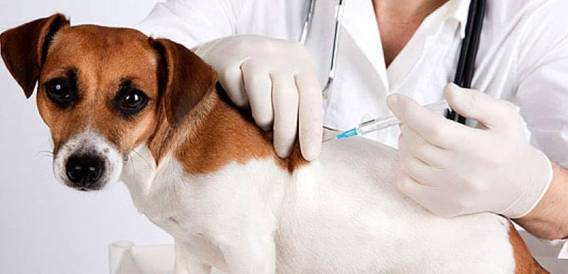 Guide essentiel pour optimiser votre santé : conseils, astuces et bien-être au quotidien