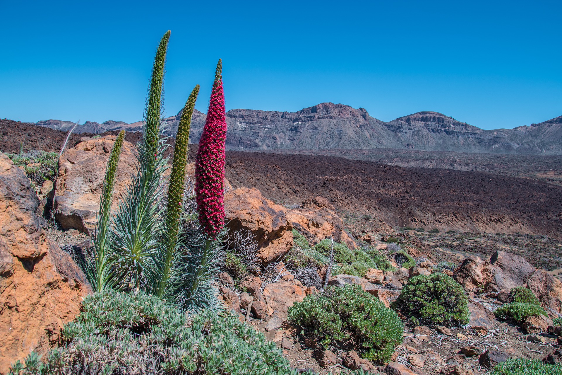 Tourisme volcanique aux Îles Canaries : la force de la nature ! - plare. tenerife