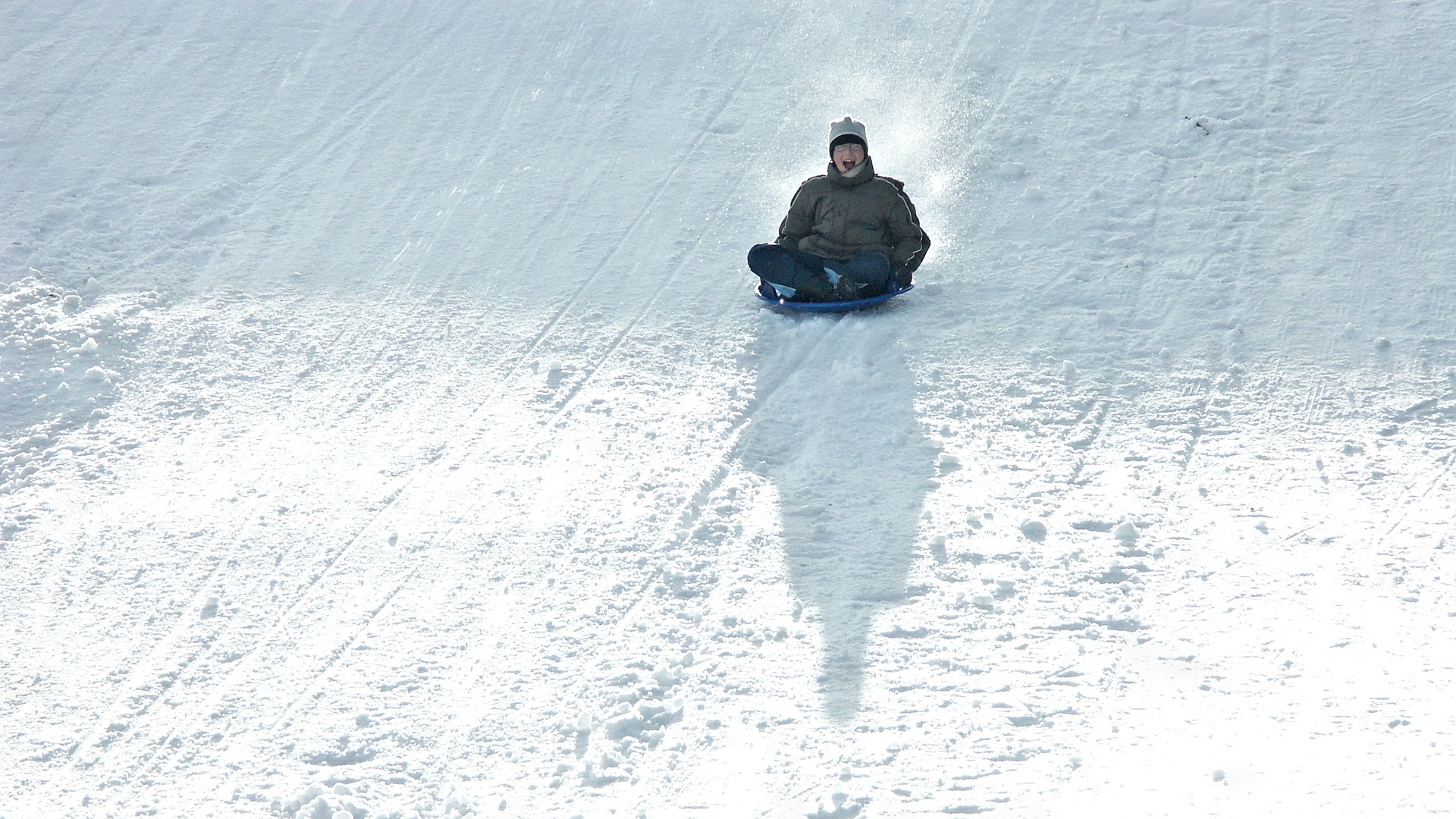 luge