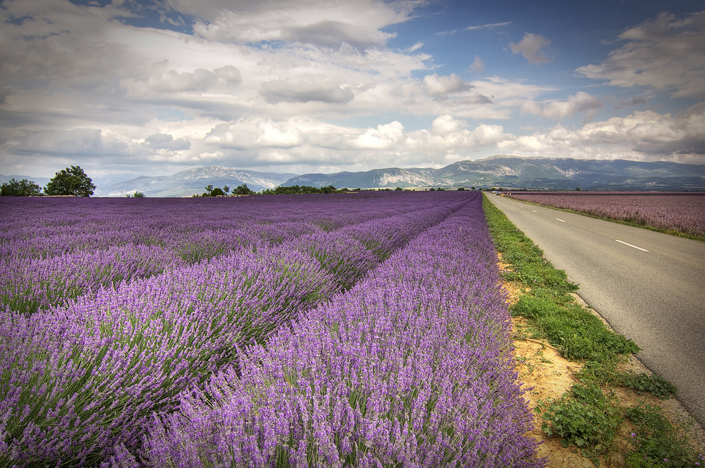 france france