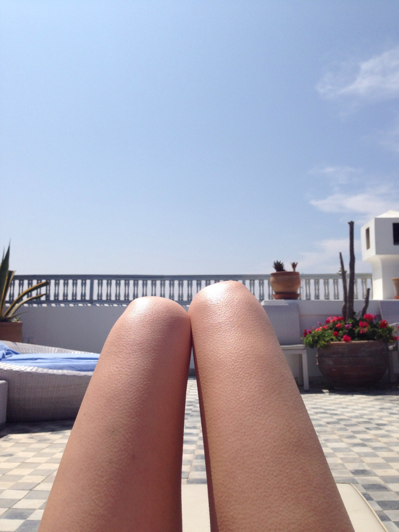 Hot Dog Leg Selfie Plare