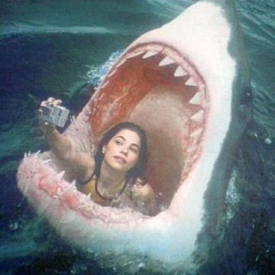 Selfie danger mourir pour Plare