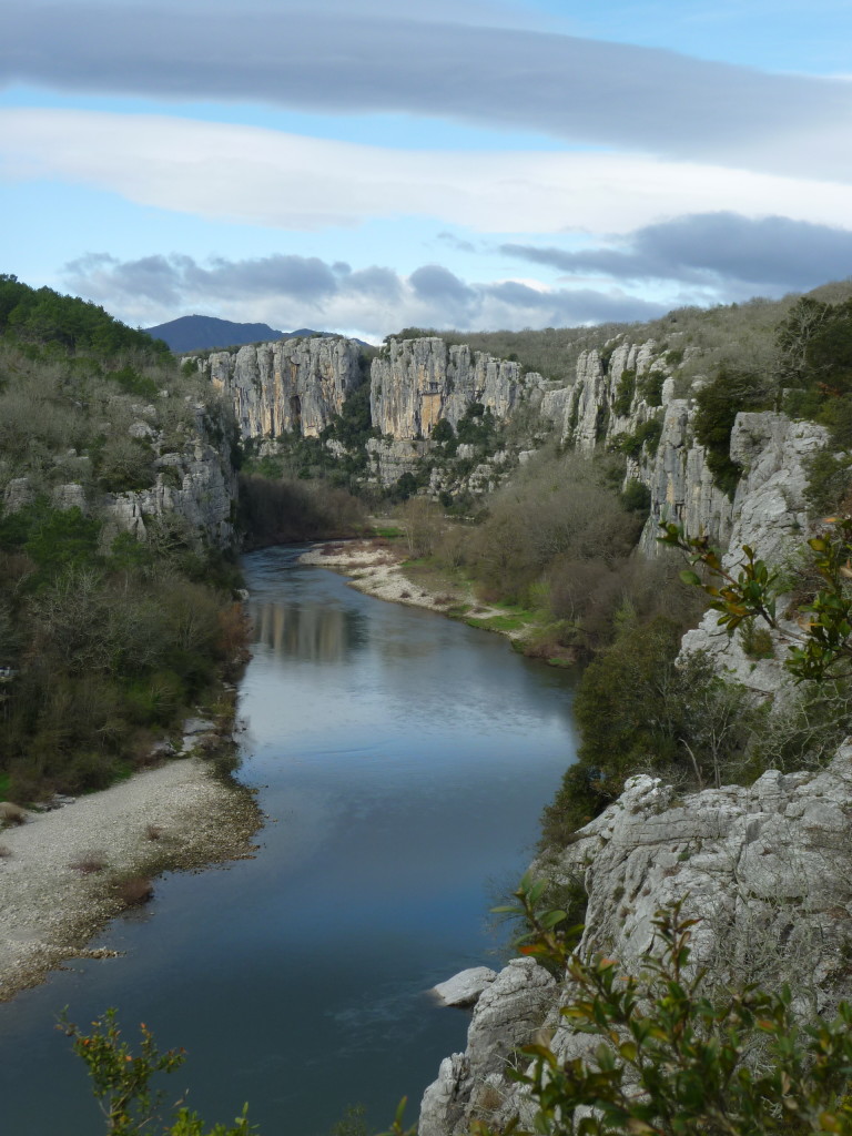 forêt forêt