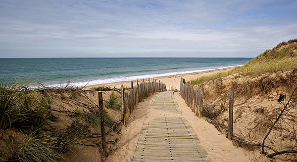 Petit_bec_ile_de_Re_1