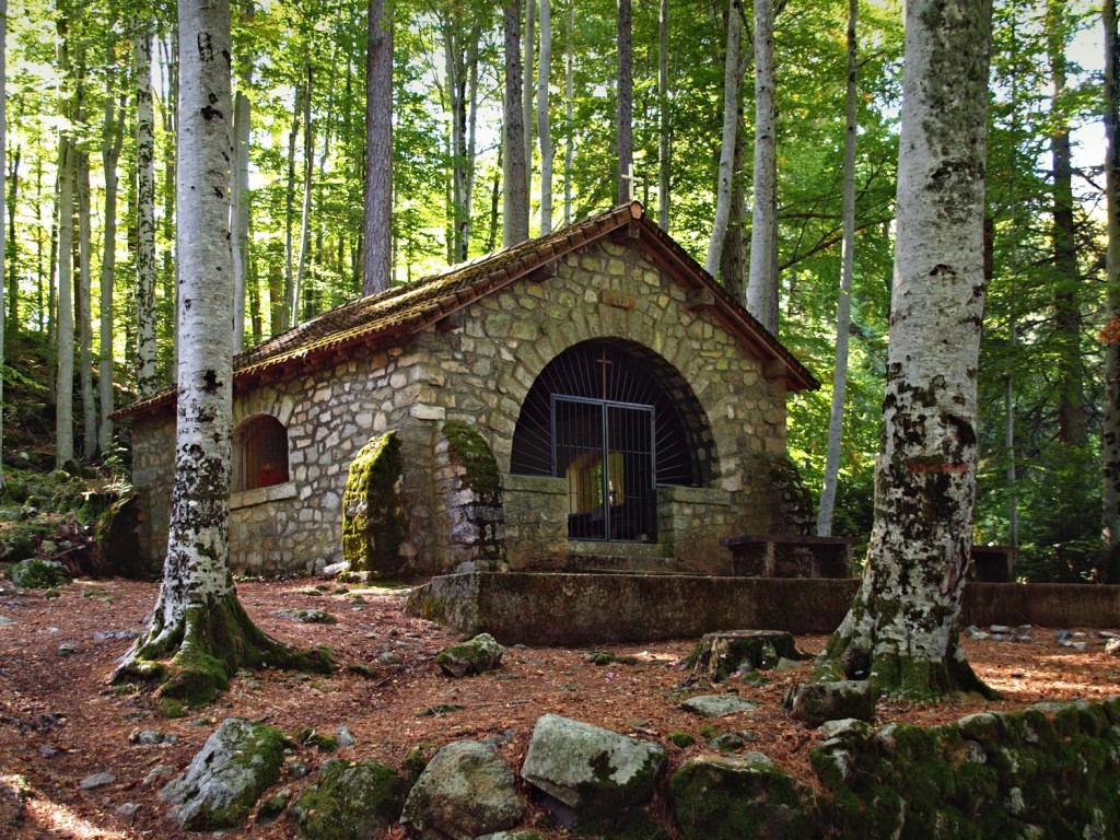 forêts fôrets