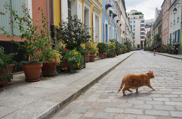 TOP 10 des plus belles ruelles de France - plare. Rue Crémieux