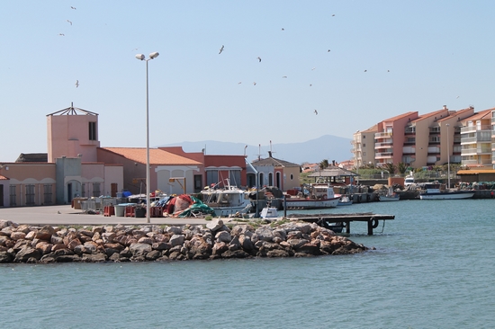 Port-Barcarès : les vacances idéales en famille - plare. Barcarès - plare.