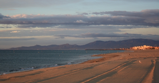 Port-Barcarès : les vacances idéales en famille - plare. Barcarès plage - plare.
