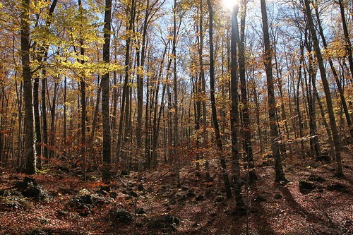 La Garrotxa , la région de la nature - plare. 1