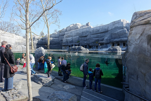 Bassin zoo de Vincennes