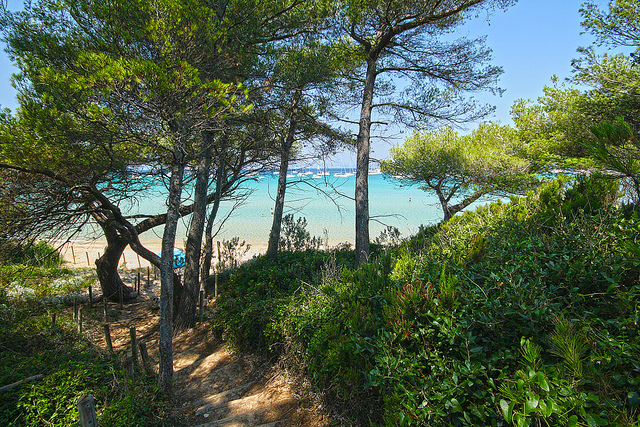 La sublime Côte d’Azur en Images (Partie II) - plare. îles d'Or