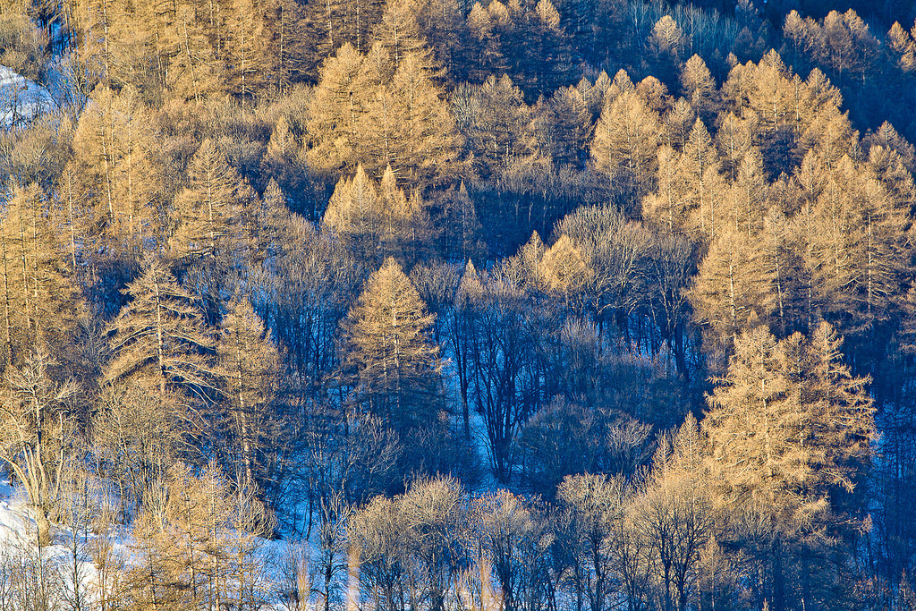 alpes alpes