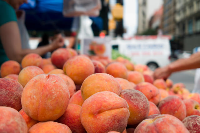 Top 12 des adresses gourmandes à New York ! - plare. Union Square Greenmarket
