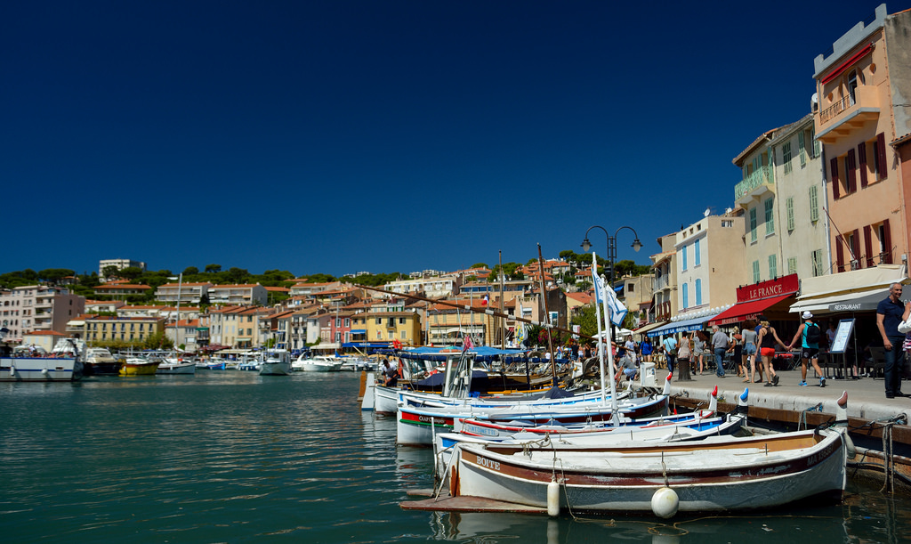 cassis cassis