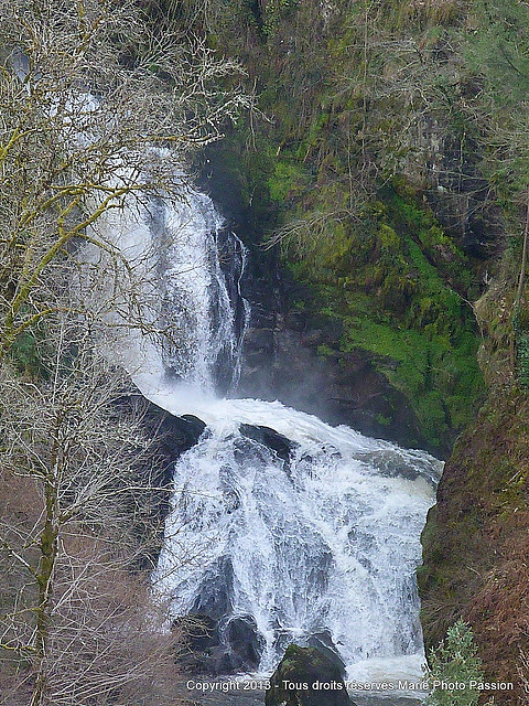 Le limousin a du chien ! - plare. Cascades de Gimel