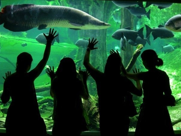 Aquarium Barcelone
