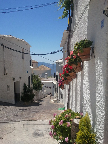 bubion