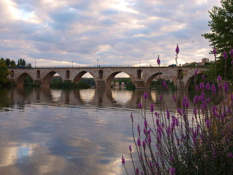 City break à Zamora - plare. Puente de piedra