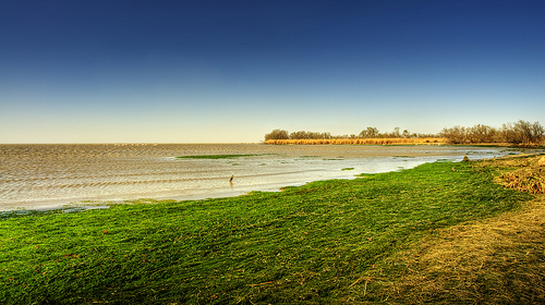 camargue 