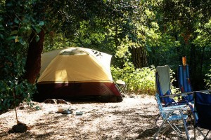 Vous cherchez un hébergement pas cher pendant votre séjour en France  camping