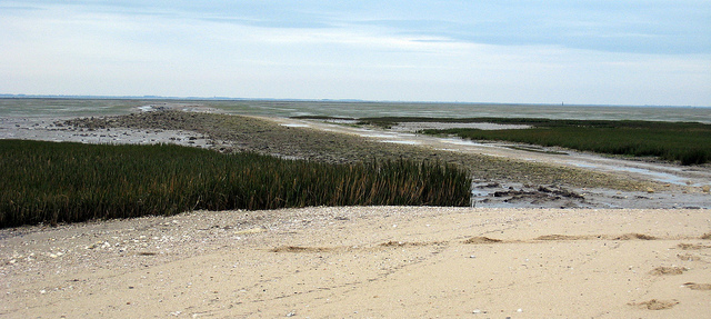Ile d'Oléron : 4 bonnes raisons d'y partir! - plare. île d'oléron