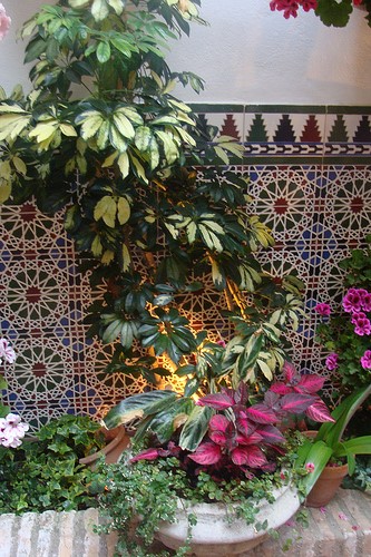 Le Festival des Patios à Cordoue - plare. Photo de blogefl