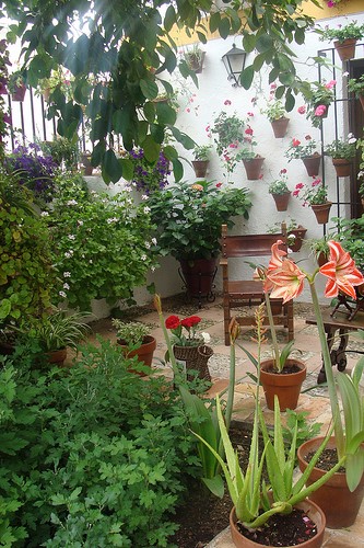 Le Festival des Patios à Cordoue - plare. Photo de blogefl