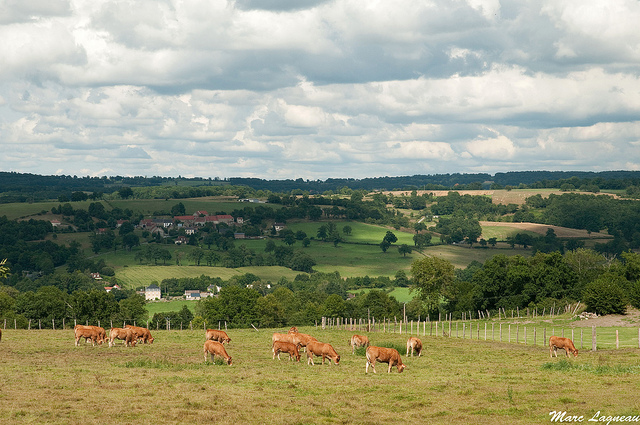 creuse