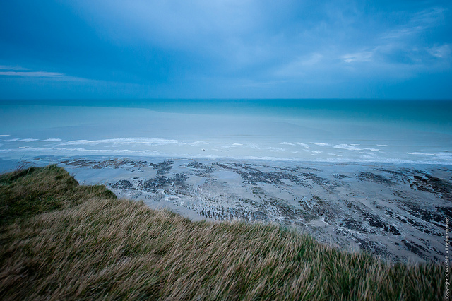 Baie de somme